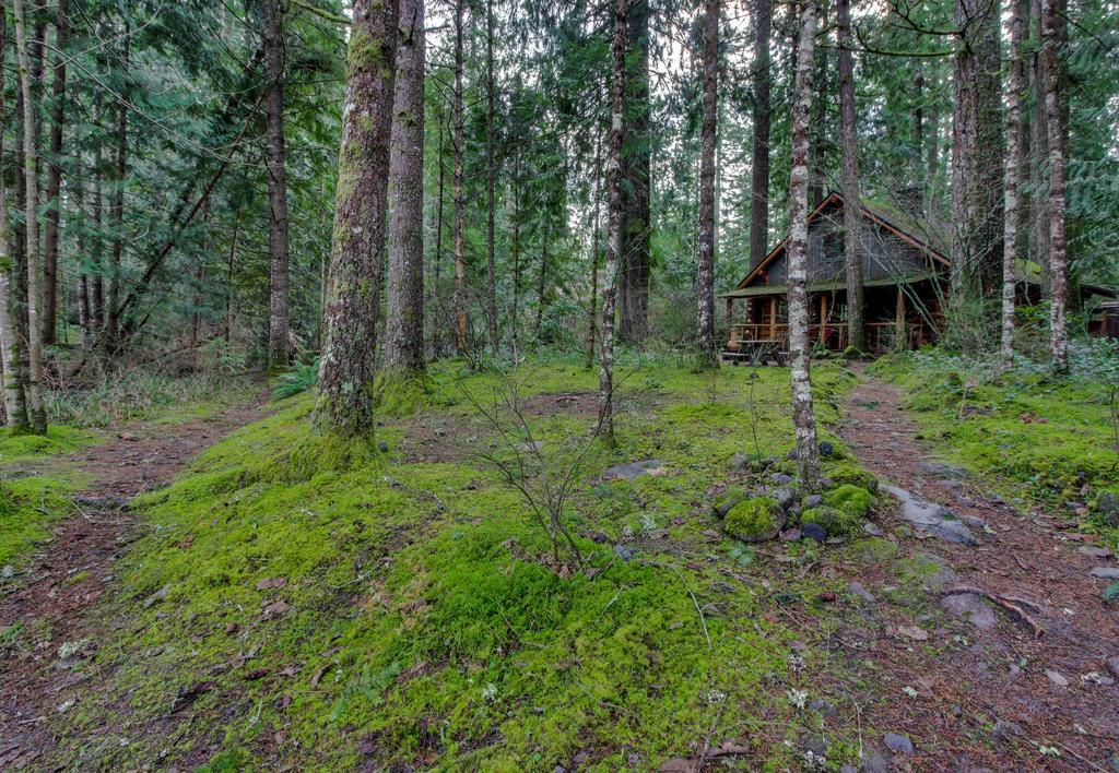 Zoe'S Log Cabin Welches 外观 照片